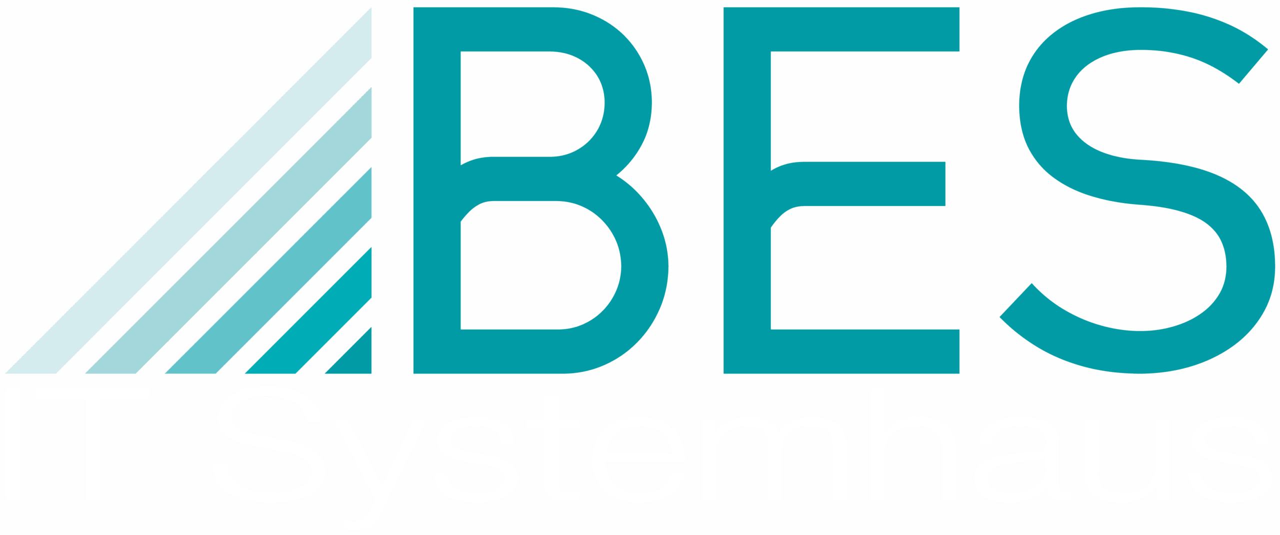 BES Systemhaus Logo Zusatz weiß 2024 HKS51k