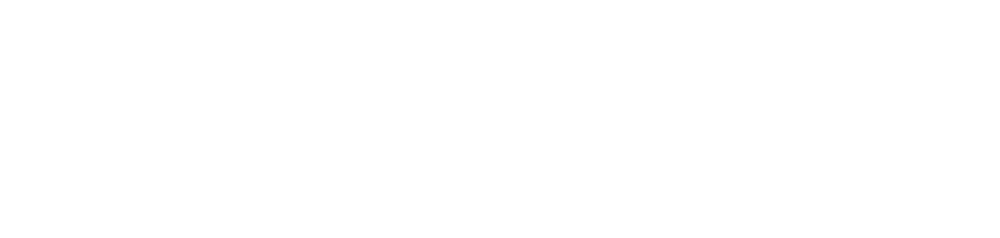 BES Software & Digitalisierung